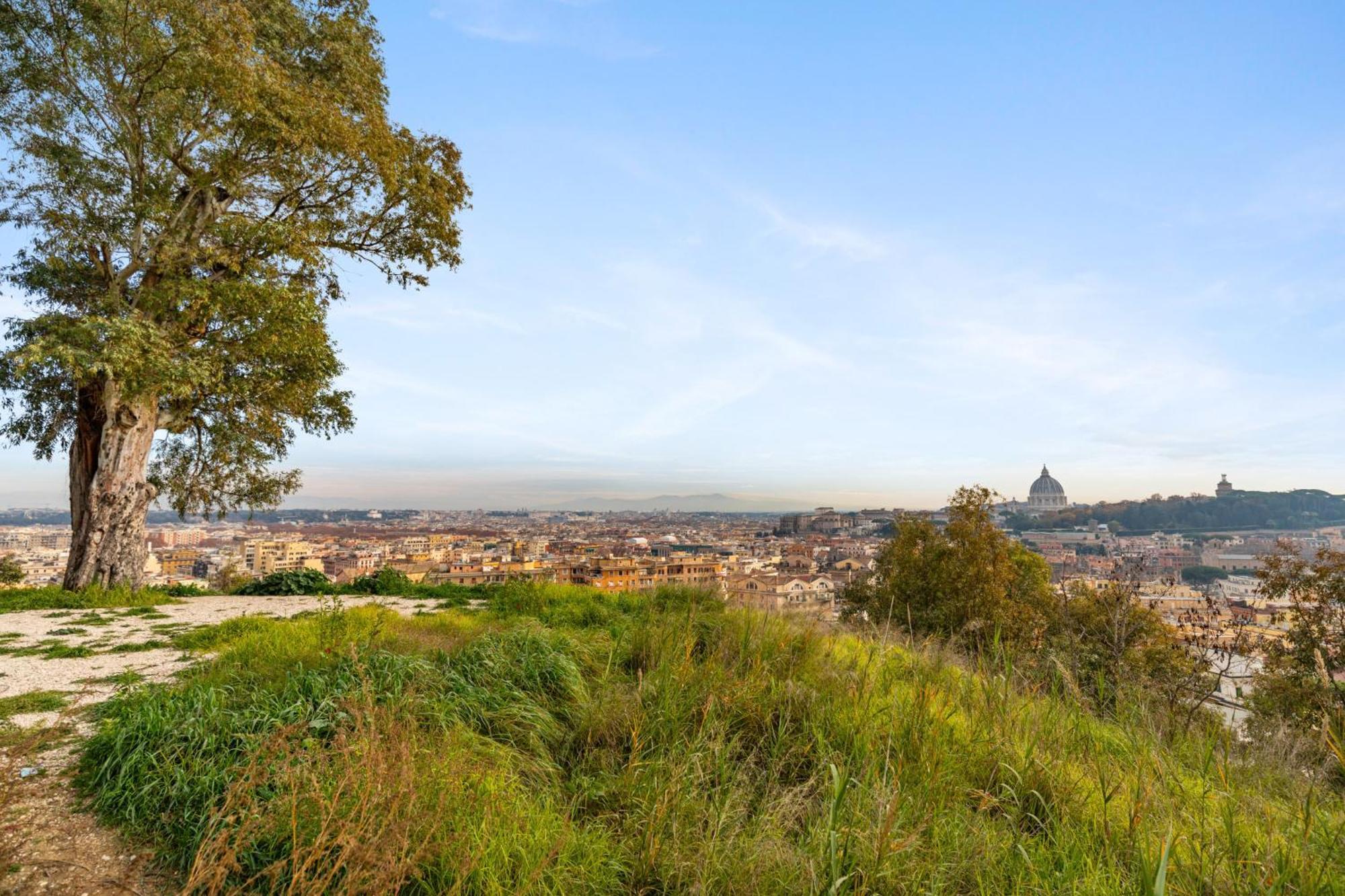 Beautiful Charming Garden Near St Peter * Roma