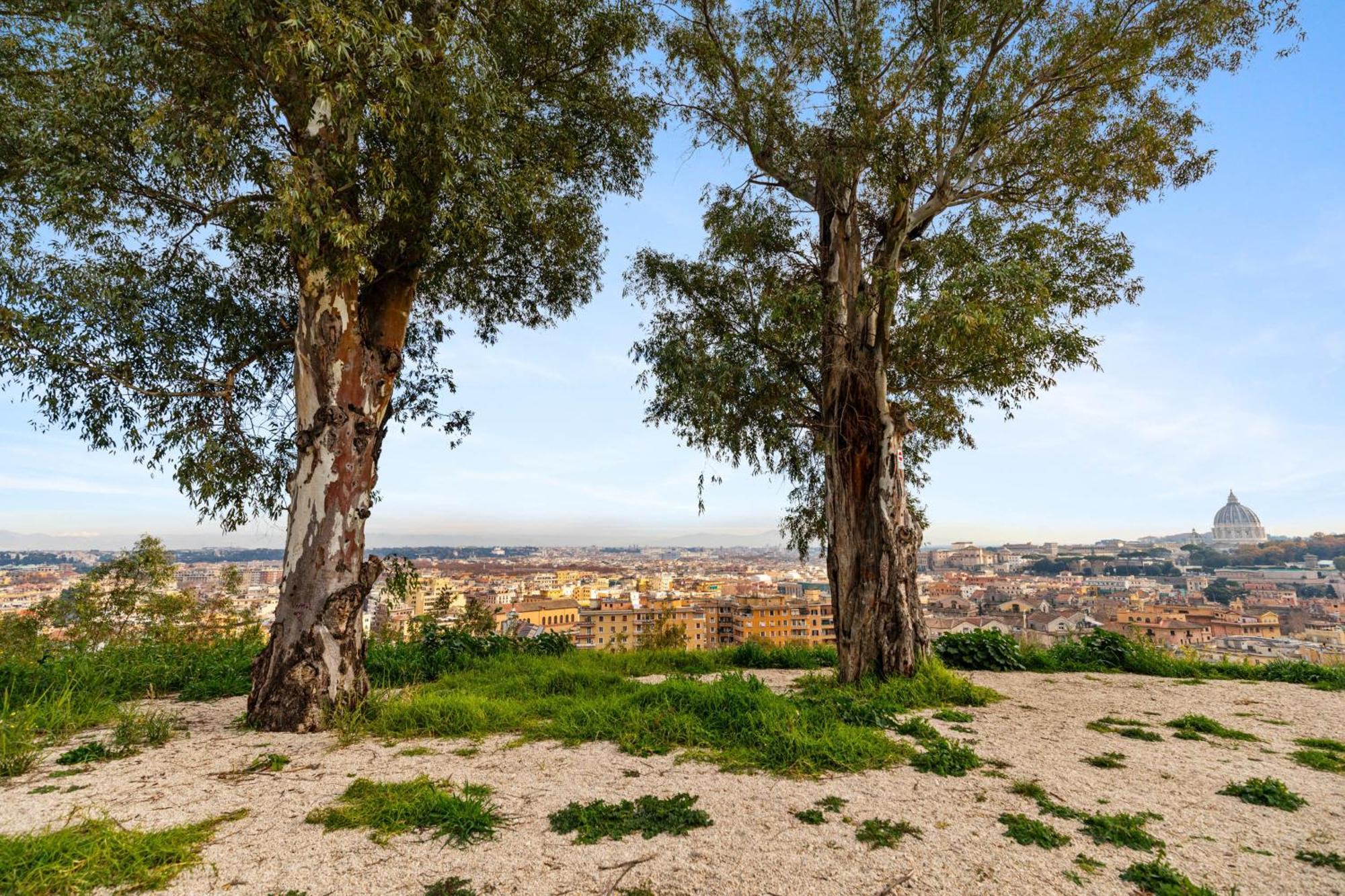 Beautiful Charming Garden Near St Peter * Roma